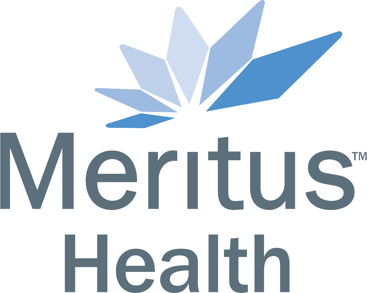 Meritus Health logo